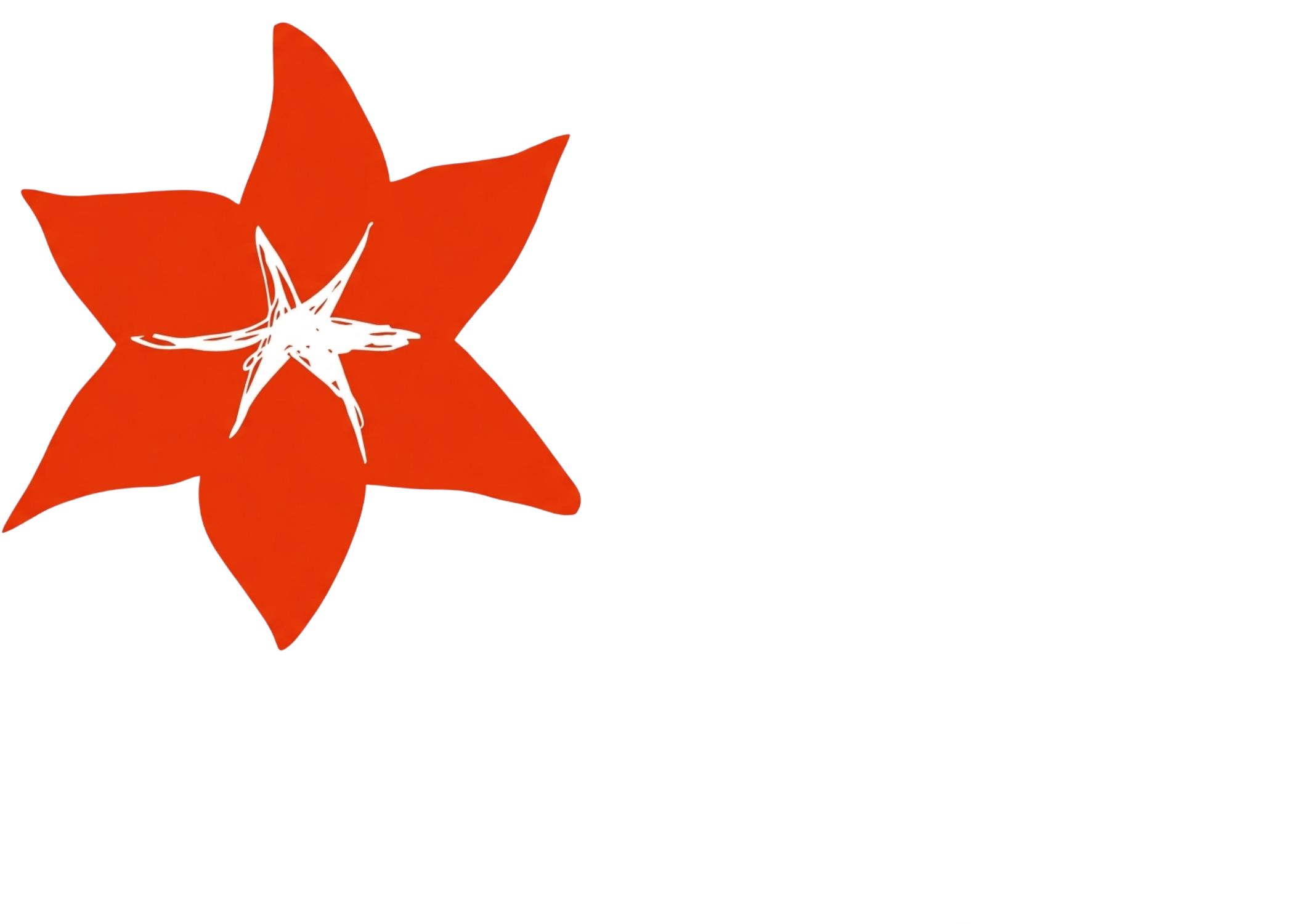 Lily, Northstar Academic Management System