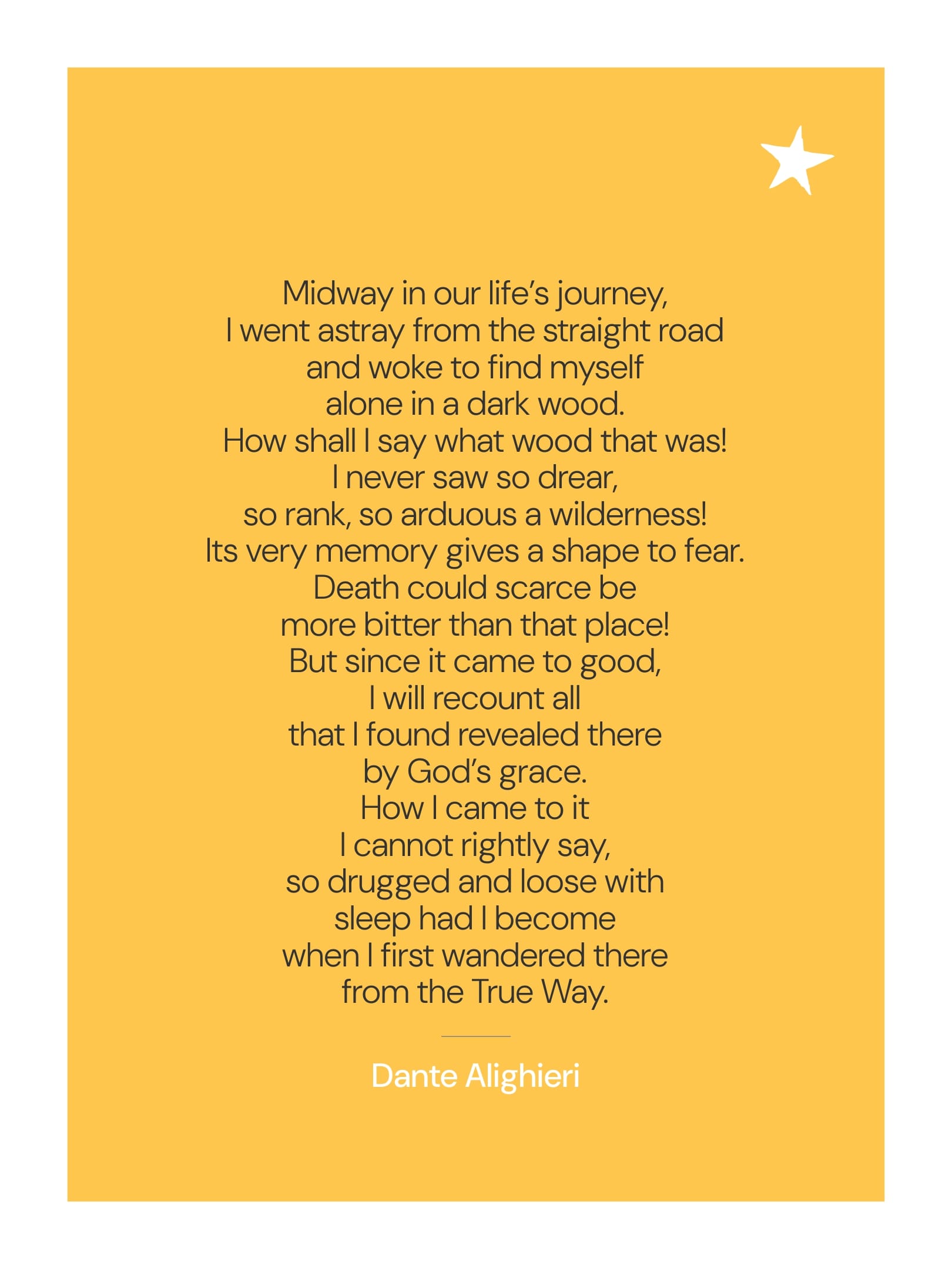 In the Forest with Dante 1